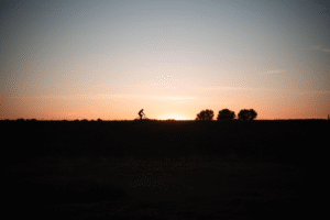 De weg tussen moeten en kiezen (8)